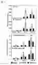 Fig. 07 - Recombinant poxvirus not having a functional 3beta-hsd gene