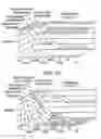 Fig. 03 - Neisserial vaccine compositions and methods