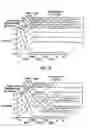 Fig. 06 - Neisserial vaccine compositions and methods
