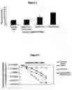 Fig. 02 - Increasing tumor oxygen content by administration of stressed cells