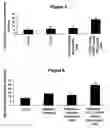Fig. 04 - Increasing tumor oxygen content by administration of stressed cells