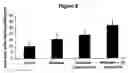 Fig. 06 - Increasing tumor oxygen content by administration of stressed cells