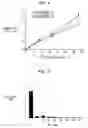 Fig. 04 - Antibiotic calcium phosphate coating