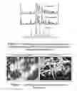 Fig. 05 - Method for preparing submicron particle suspensions
