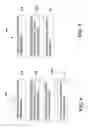 Fig. 14 - Apparatus and method for continuously and endlessly vulcanizing rubber hose
