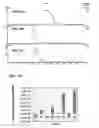Fig. 07 - Chewing gum compositions comprising monatin and methods for making same