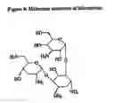 Fig. 07 - Method for applying a bioactive coating on a medical device