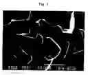 Fig. 02 - Glass, ceramic and metal substrates with a self-cleaning surface, method of making them and their use