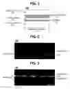 Fig. 02 - Super resolution optical disc