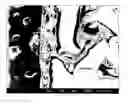 Fig. 01 - Composite porous materials and methods of making and using the same