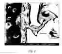 Fig. 02 - Composite porous materials and methods of making and using the same