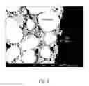 Fig. 05 - Composite porous materials and methods of making and using the same