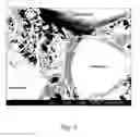 Fig. 06 - Composite porous materials and methods of making and using the same