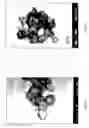 Fig. 03 - CaCO/SiO.nHO nanocomposite particles and SiO.nHO hollow-structures nanomaterials and synthesizing method