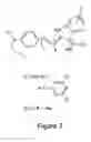 Fig. 04 - Polar ordering of reactive chromophores in layer-by-layer nonlinear optical materials