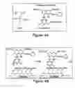 Fig. 05 - Polar ordering of reactive chromophores in layer-by-layer nonlinear optical materials