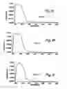 Fig. 10 - Polymer-inorganic particle composites