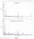 Fig. 07 - Process for modifying polymeric surfaces using deep UV irradiation