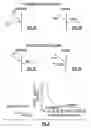 Fig. 02 - Double faced double storage capacity medium