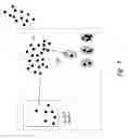 Fig. 02 - Screening assays using intramitochondrial calcium