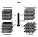 Fig. 08 - Multifunctional biomaterials as scaffolds for electronic, optical, magnetic, semiconducting, and biotechnological applications