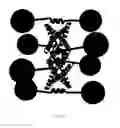Fig. 16 - Oligomerization of hepatitis delta antigen