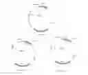 Fig. 17 - Oligomerization of hepatitis delta antigen