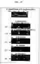 Fig. 12 - Methods for detecting Ehrlichia canis and Ehrlichia chaffensis in vertebrate and invertebrate hosts