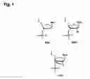 Fig. 02 - Method and a kit for determination of a microbial count