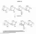 Fig. 03 - Non-viral gene delivery system