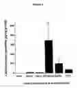 Fig. 11 - Non-viral gene delivery system