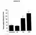 Fig. 15 - Non-viral gene delivery system
