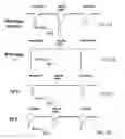 Fig. 07 - Variant neuronal nicotinic alpha-7 receptor and methods of use
