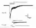 Fig. 09 - Variant neuronal nicotinic alpha-7 receptor and methods of use