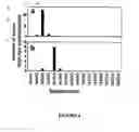Fig. 05 - Fluorescently labeled nucleoside triphosphates and analogs thereof for sequencing nucleic acids