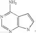 Fig. 22 - Fluorescently labeled nucleoside triphosphates and analogs thereof for sequencing nucleic acids