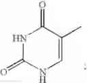 Fig. 25 - Fluorescently labeled nucleoside triphosphates and analogs thereof for sequencing nucleic acids