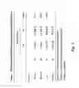 Fig. 02 - Methods for diagnosing a genetic risk for bone loss