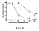 Fig. 06 - Regulation of bcl-2 gene expression