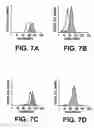 Fig. 08 - Regulation of bcl-2 gene expression