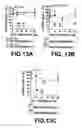 Fig. 17 - Regulation of bcl-2 gene expression