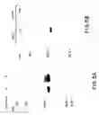 Fig. 08 - Oncoprotein protein kinase