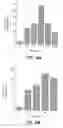 Fig. 40 - Oncoprotein protein kinase
