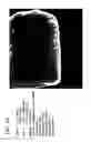 Fig. 30 - Artificial receptors including gradients