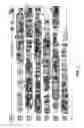 Fig. 02 - Novel receptors