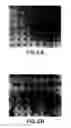 Fig. 06 - G protein-binding proteins and polynucleotides encoding the same
