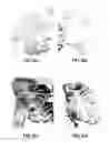 Fig. 08 - G protein-binding proteins and polynucleotides encoding the same