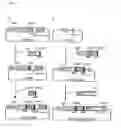Fig. 09 - Serine protease BSSP6