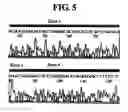 Fig. 07 - Diagnostic method for cancer characterized in the detection of the deletion of G-CSF exon 3