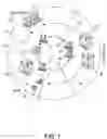 Fig. 02 - Systems and methods for transgenic and targeted mutagenesis screening